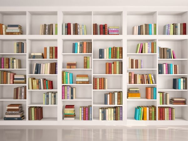Bookshelf Assembly in Lynnwood