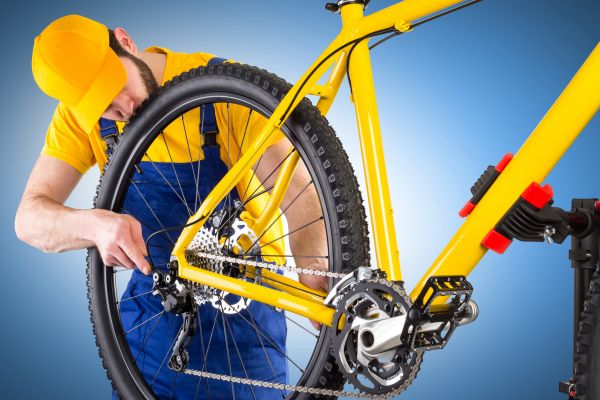 Bike Assembly in Lynnwood