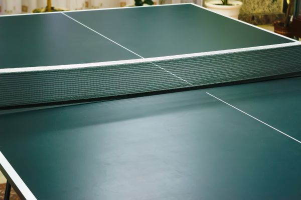 Ping Pong Table Assembly in Lynnwood